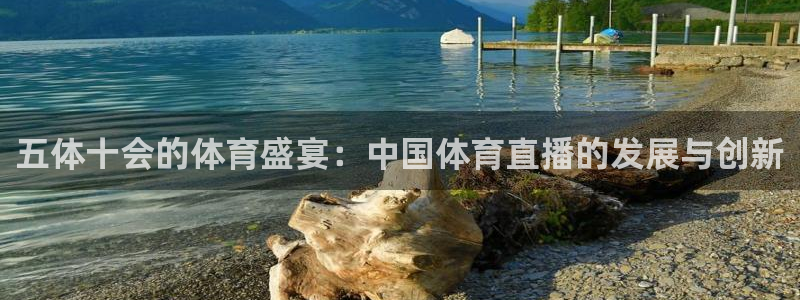 五体十会的体育盛宴：中国体育直播的发展与创新