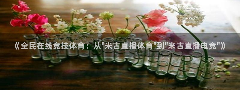 《全民在线竞技体育：从\