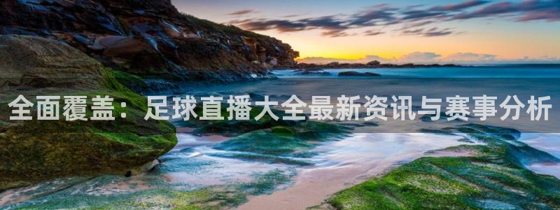 全面覆盖：足球直播大全最新资讯与赛事分析